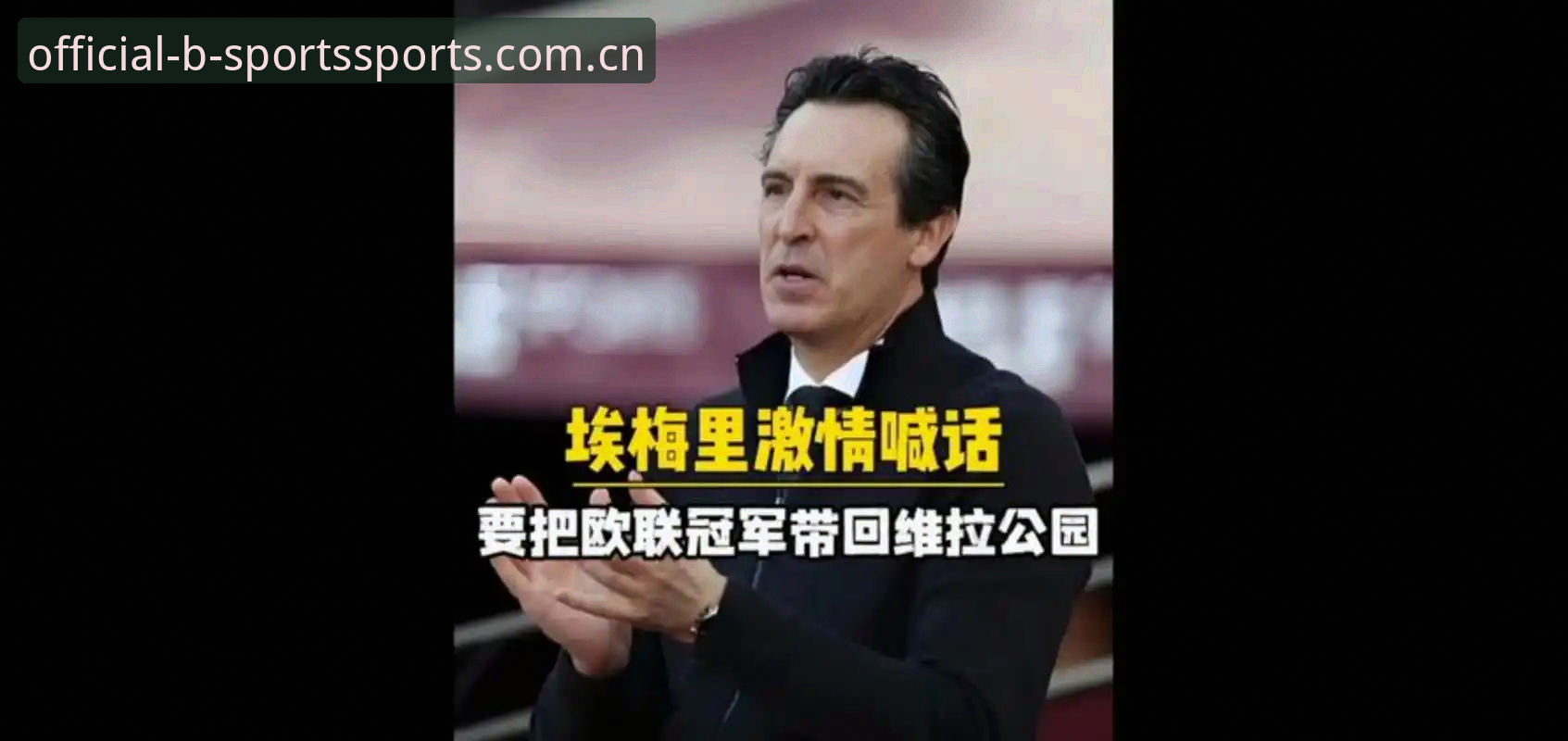 揭秘维拉30年冠军荒终结背后：埃梅里与必一体育平台的深度观察